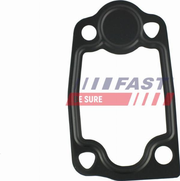 Fast FT49903 - Прокладка, термостат autocars.com.ua