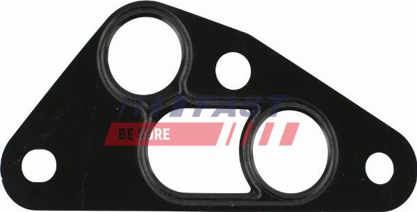 Fast FT49913 - Прокладка, масляний радіатор autocars.com.ua