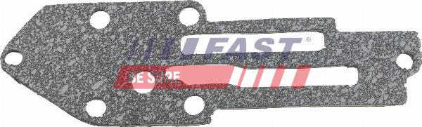 Fast FT49916 - Прокладка, масляний радіатор autocars.com.ua