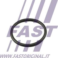 Fast FT49917 - Прокладка, термостат autodnr.net