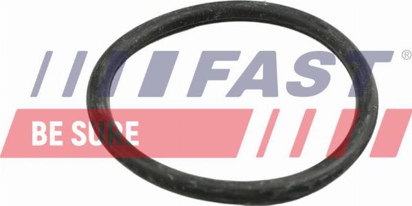 Fast FT49918 - Прокладка, трубопровід охолоджую autocars.com.ua