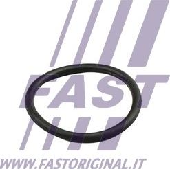 Fast FT49919 - Кільце ущільнювача, трубка охолоджуючої рідини autocars.com.ua