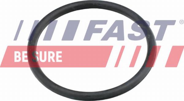 Fast FT49920 - Прокладка, трубопровід охолоджую autocars.com.ua