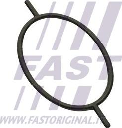 Fast FT49923 - Прокладка вакуумного насоса Ford Focus-Connect-Escort-Mondeo 1.8D-1.8TD-1.8TDCI autocars.com.ua