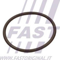 Fast FT49933 - Кільце ущільнювача, трубка, що нагнітається autocars.com.ua