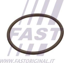 Fast FT49933 - Кільце ущільнювача, трубка, що нагнітається autocars.com.ua