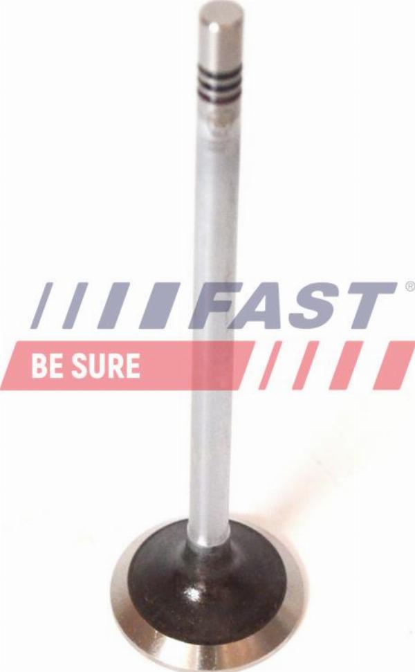 Fast FT50068 - Випускний клапан autocars.com.ua