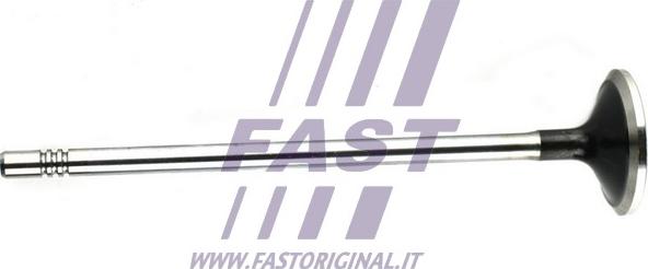 Fast FT50132 - Выпускной клапан avtokuzovplus.com.ua