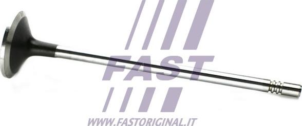 Fast FT50133 - Впускний клапан autocars.com.ua