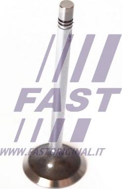 Fast FT50135 - Впускной клапан avtokuzovplus.com.ua