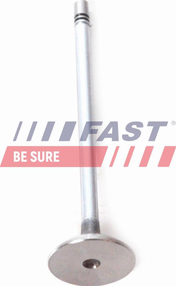 Fast FT50135 - Впускний клапан autocars.com.ua