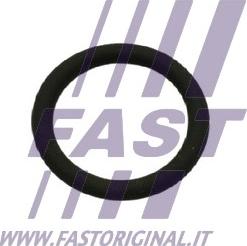 Fast FT50601 - Прокладка, клапан повернення ОГ autocars.com.ua