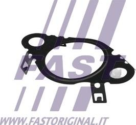 Fast FT50604 - Прокладка, клапан возврата ОГ avtokuzovplus.com.ua
