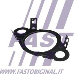 Fast FT50604 - Прокладка, клапан повернення ОГ autocars.com.ua