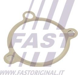 Fast FT50605 - Прокладка, клапан возврата ОГ avtokuzovplus.com.ua