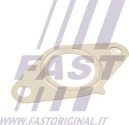 Fast FT50616 - Прокладка, клапан повернення ОГ autocars.com.ua