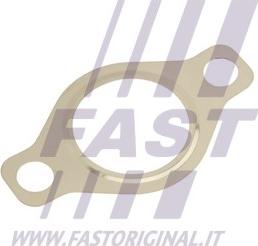 Fast FT50618 - Прокладка, клапан повернення ОГ autocars.com.ua