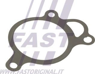 Fast FT50619 - Прокладка, клапан повернення ОГ autocars.com.ua