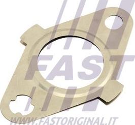 Fast FT50627 - Прокладка, клапан повернення ОГ autocars.com.ua
