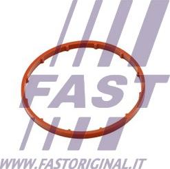 Fast FT50701 - Прокладка, вакуумний насос autocars.com.ua