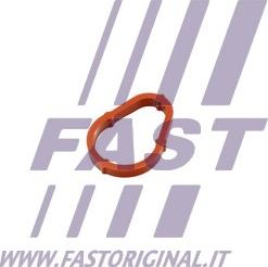 Fast FT50702 - Прокладка, вакуумний насос autocars.com.ua