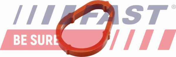 Fast FT50702 - Прокладка, вакуумний насос autocars.com.ua