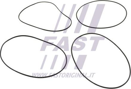 Fast FT50751 - Комплект прокладок, гильза цилиндра autodnr.net