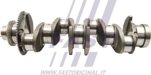 Fast FT51701 - Колінчастий вал autocars.com.ua