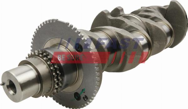 Fast FT51705 - Колінчастий вал autocars.com.ua