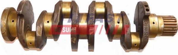 Fast FT51720 - Колінчастий вал autocars.com.ua