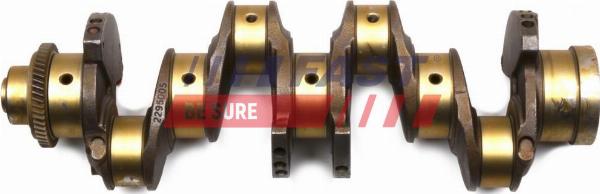 Fast FT51759 - Колінчастий вал autocars.com.ua