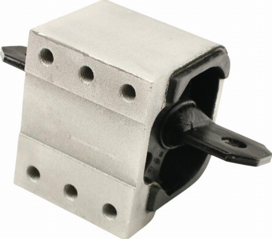 Fast FT52024 - Подушка, підвіска двигуна autocars.com.ua