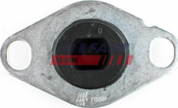 Fast FT52594 - Подушка, підвіска двигуна autocars.com.ua