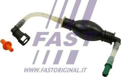 Fast FT53046 - Паливний насос autocars.com.ua