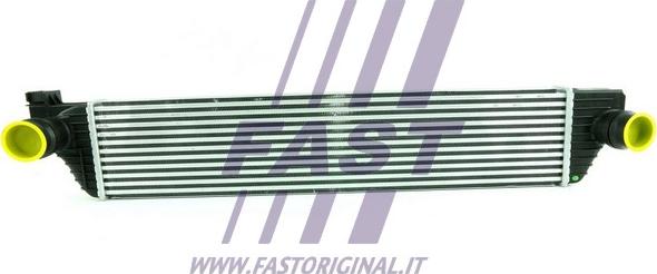 Fast FT55528 - Интеркулер autocars.com.ua