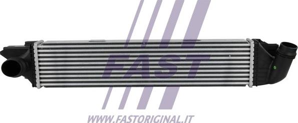 Fast FT55531 - Интеркулер, теплообменник турбины avtokuzovplus.com.ua