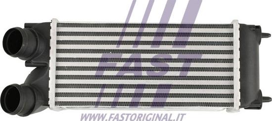 Fast FT55573 - Интеркулер autocars.com.ua