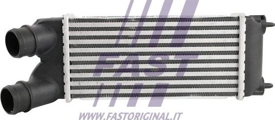Fast FT55575 - Интеркулер autocars.com.ua