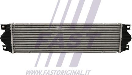 Fast FT55595 - Интеркулер autocars.com.ua