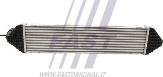 Fast FT55598 - Интеркулер, теплообменник турбины avtokuzovplus.com.ua