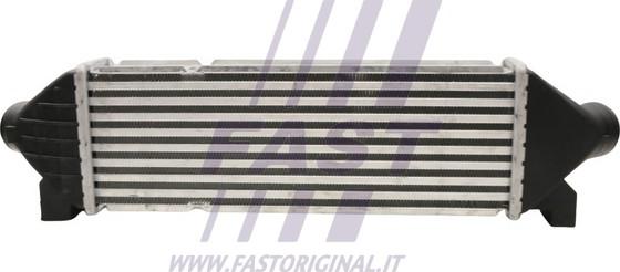 Fast FT55601 - Интеркулер autocars.com.ua