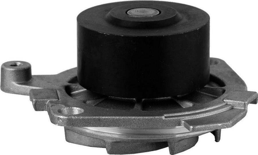 Fast FT57106 - Водяний насос autocars.com.ua