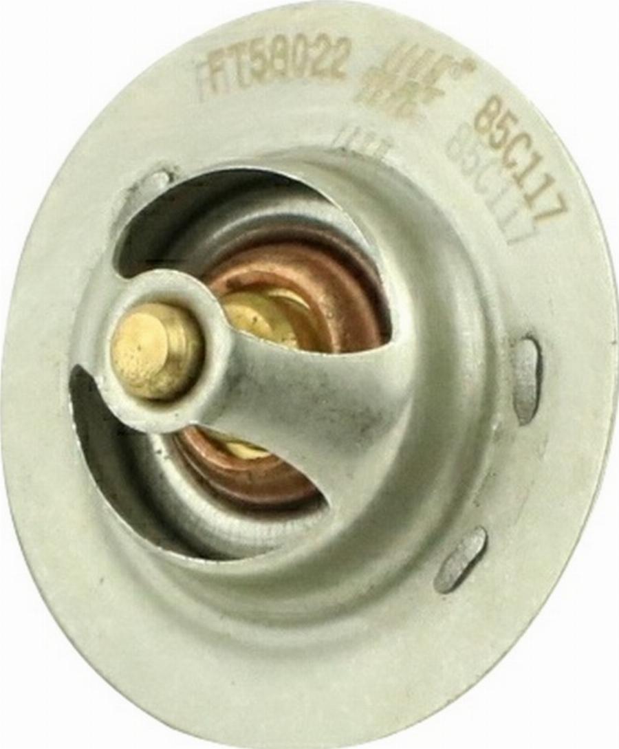 Fast FT58022 - Термостат, охолоджуюча рідина autocars.com.ua