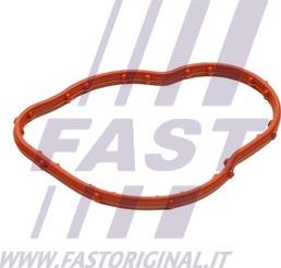Fast FT58305 - Прокладка термостату RENAULT KANGOO 1.5dCi 02-. MEGANE 1.5D 02- autocars.com.ua