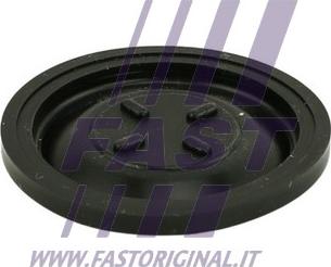 Fast FT60101 - Мембрана, вентиляція картера autocars.com.ua