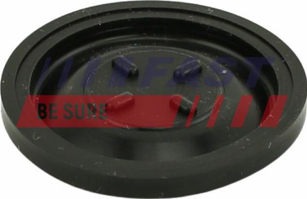 Fast FT60101 - Мембрана, вентиляція картера autocars.com.ua