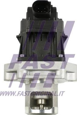 Fast FT60234 - Клапан повернення ОГ autocars.com.ua