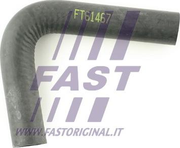 Fast FT61467 - Шланг, воздухоотвод крышки головки цилиндра avtokuzovplus.com.ua