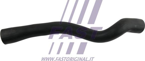 Fast FT61973 - Трубка нагнітається повітря autocars.com.ua