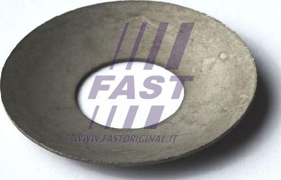 Fast FT62435 - Подкладная пластина, фланец приводного вала autodnr.net